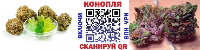где можно купить наркотик  Шлиссельбург  Cannafood конопля 