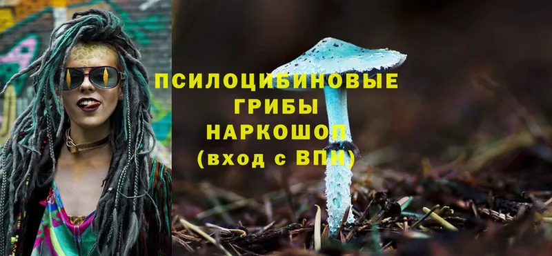 Псилоцибиновые грибы MAGIC MUSHROOMS  Шлиссельбург 